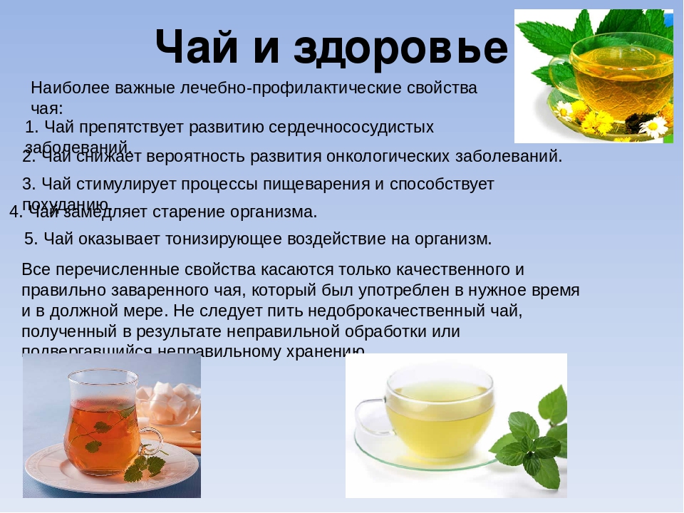 Чай кокейча (кукича, кокэйтя): полезные свойства, вред, описание, как приготовить