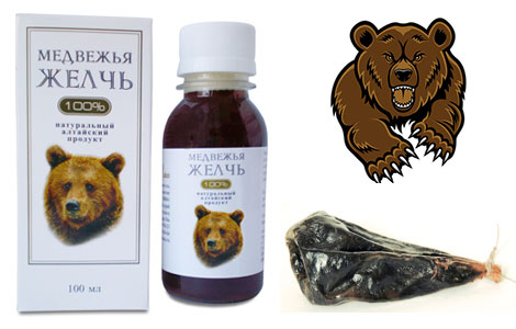 Медвежья желчь: применение и отзывы :: syl.ru