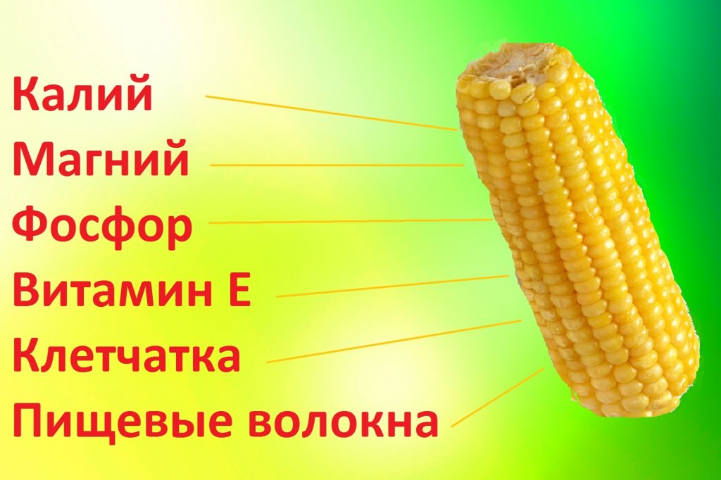 Консервированная кукуруза — польза и вред для здоровья человека, и свойства 🌽