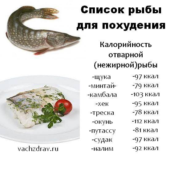 Как вкусно приготовить рыбу хек – 3 безупречных рецепта для праздничного стола