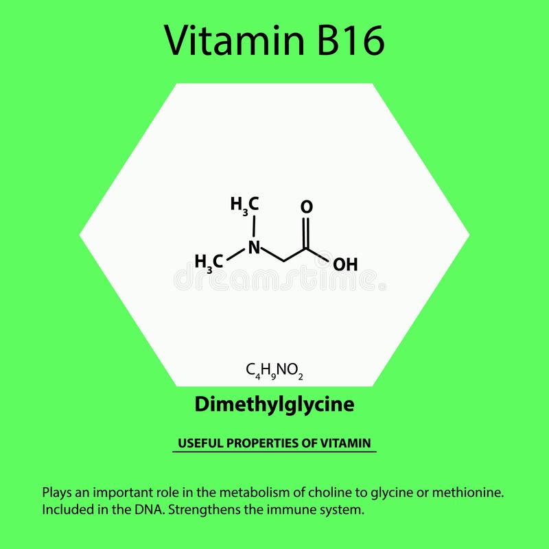 Витамин б16 (dmg или диметилглицин): для чего нужен организму, инструкция по применению