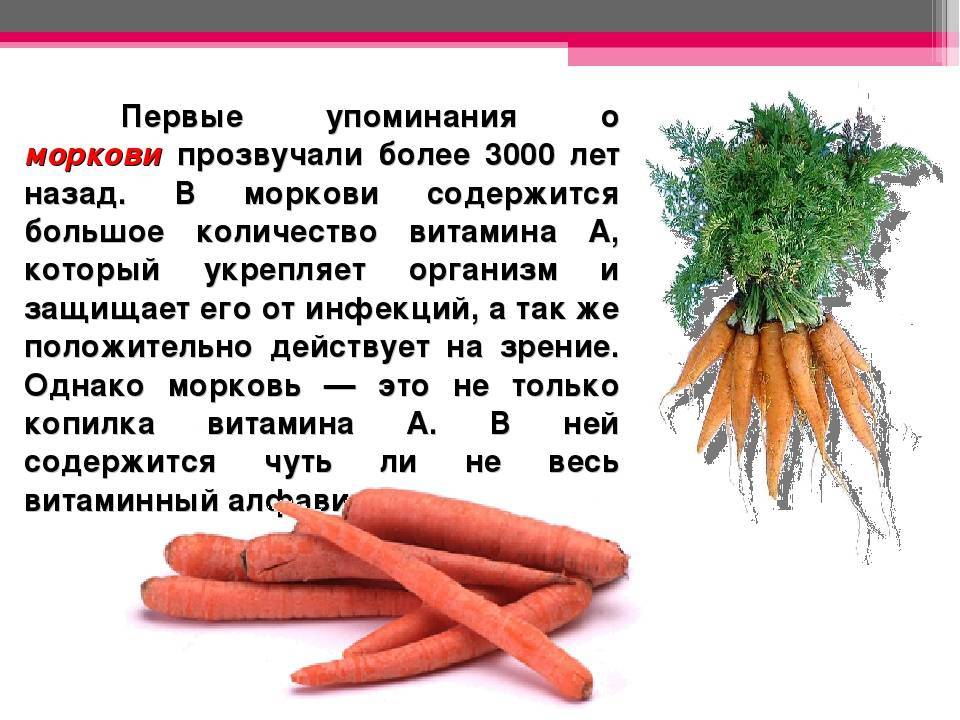 Всё о морковке - цветочки - 8 декабря - 43438011456 - медиаплатформа миртесен
