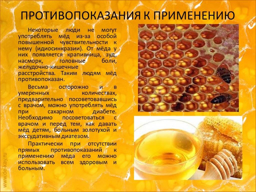 Перга для организма мужчины: польза, свойства и способы применения - русская семеркарусская семерка