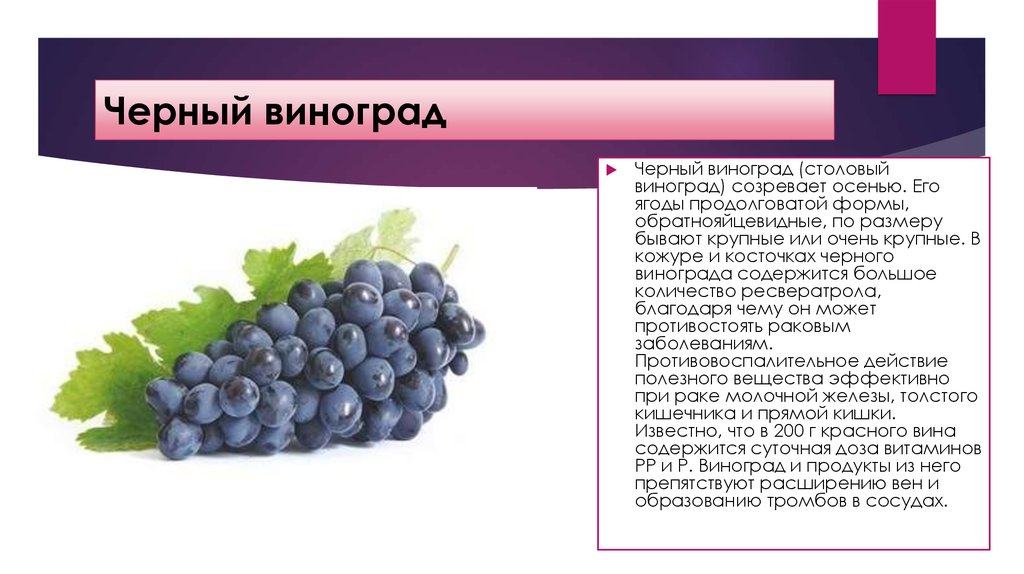 Виноград изабелла: польза и вред для организма