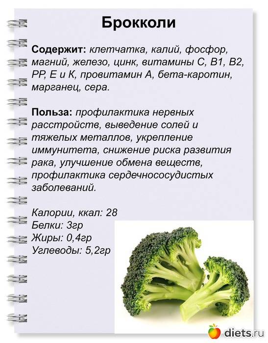 Брюссельская капуста: состав и калорийность продукта, польза овоща для организма человека, рекомендации по употреблению и возможные противопоказания