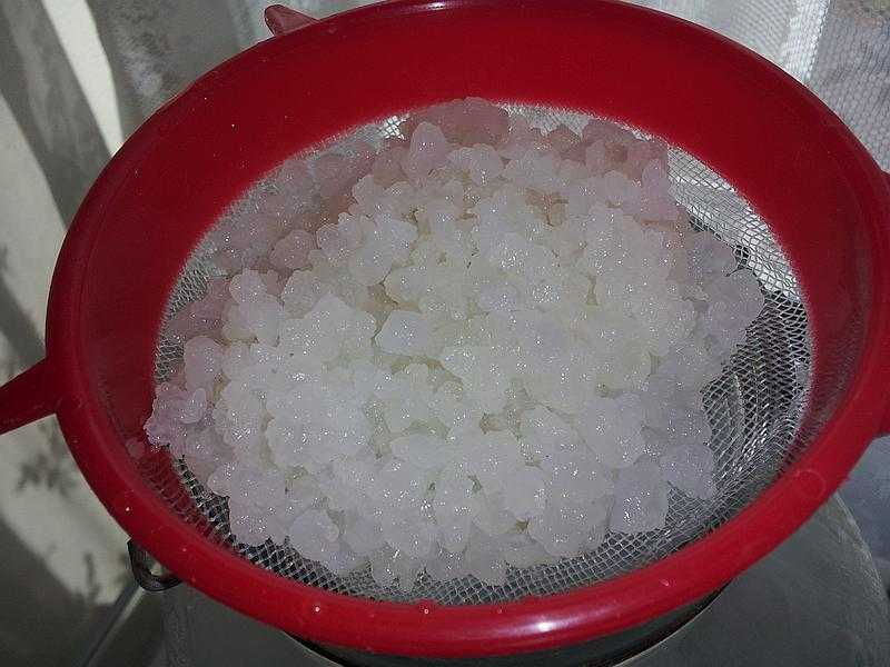 Индийский морской рис – польза и вред. что лечит, как готовить морской рис?