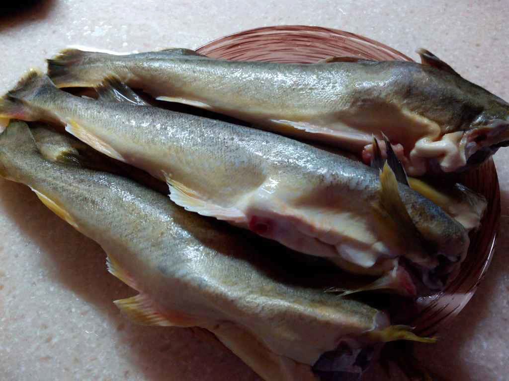 Рыба треска: польза и вред. научные факты и исследования