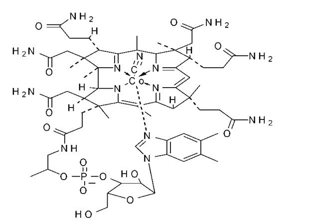 Витамин b12 (цианокобаламин): исследования в лаборатории kdlmed