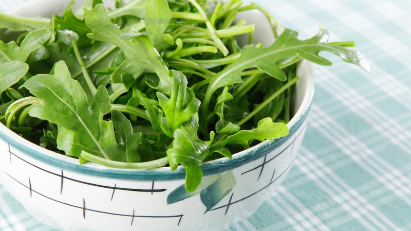 Салат с рукколой — 64 домашних вкусных рецепта приготовления