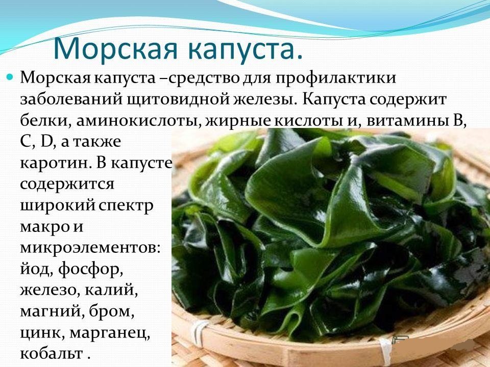 Полезные свойства салата чука, польза водорослей вакаме и возможный вред, противопоказания