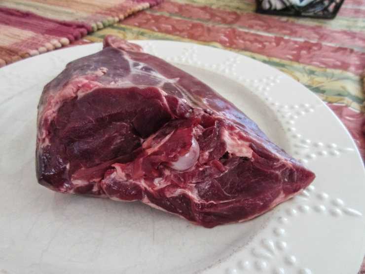 Мясо бобра – состав, полезные свойства и вред
