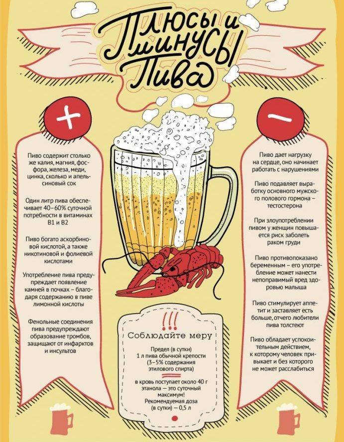 Пиво: польза и вред. мифы о вреде и пользе пива