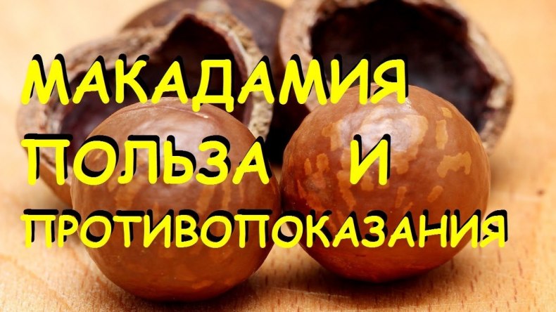 Пищевая ценность яиц и химический состав :: syl.ru