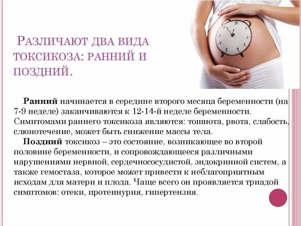 Здоровое питание во время беременности | «здравствуй»