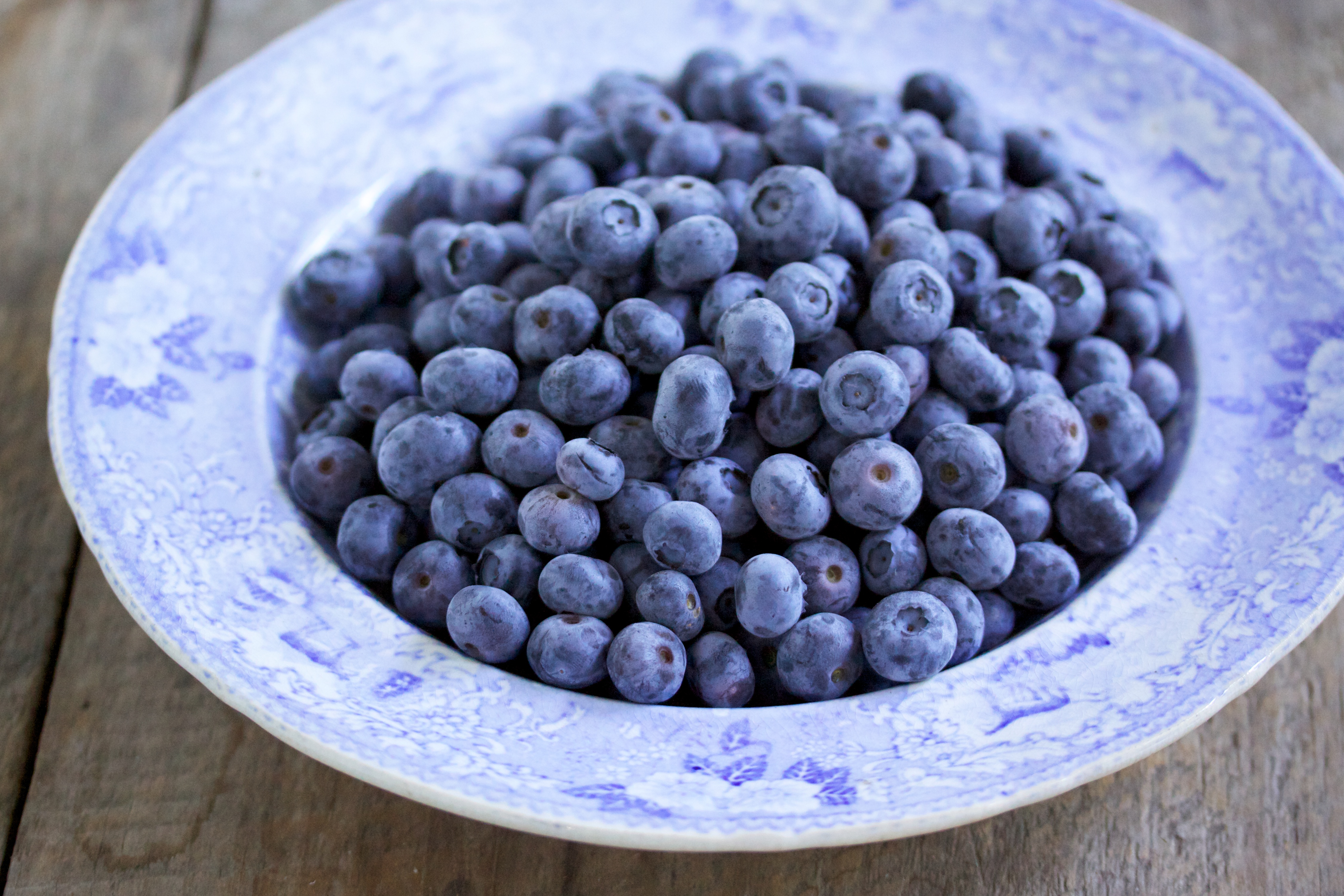 Голубика — обзор целебных свойств голубики, витаминного состава и калорийности ягоды, отличий от черники, где растет и как выглядит