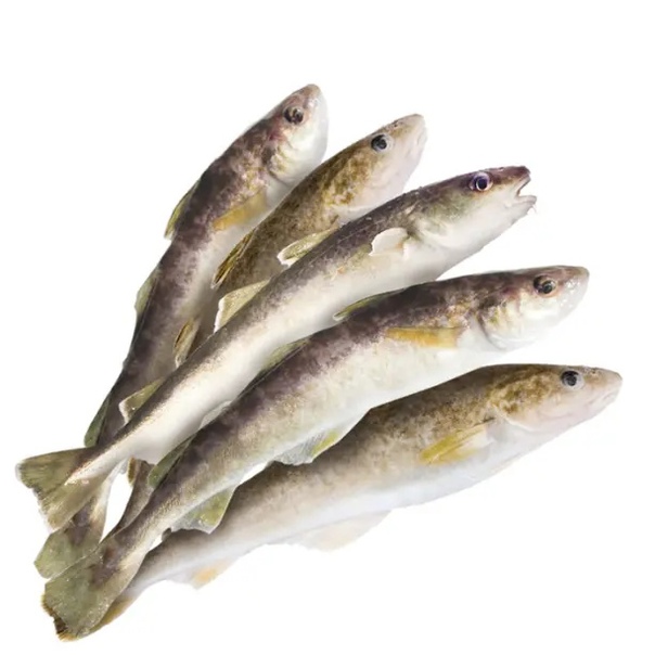 Что за рыба хек: морская или речная, польза и вред, состав, кбжу