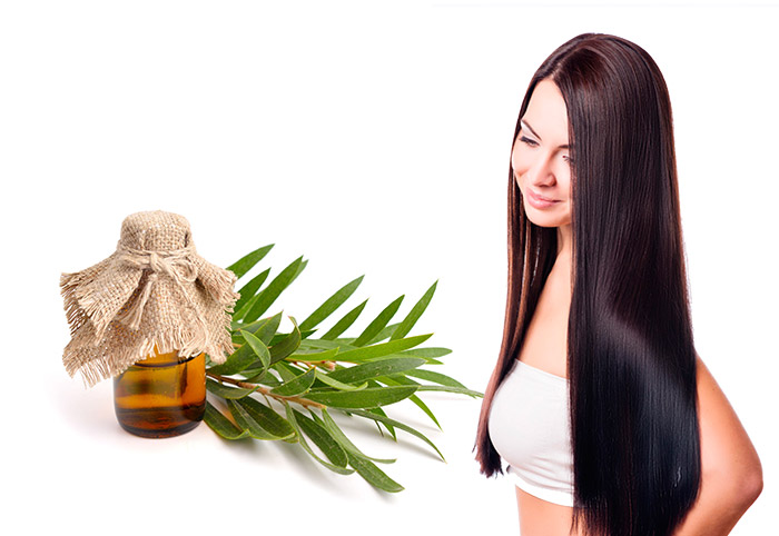 Масло чайного дерева для волос: 7 рецептов и все полезные свойства