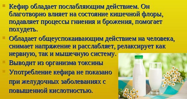 Кефир – напиток долгожителей из кавказа
