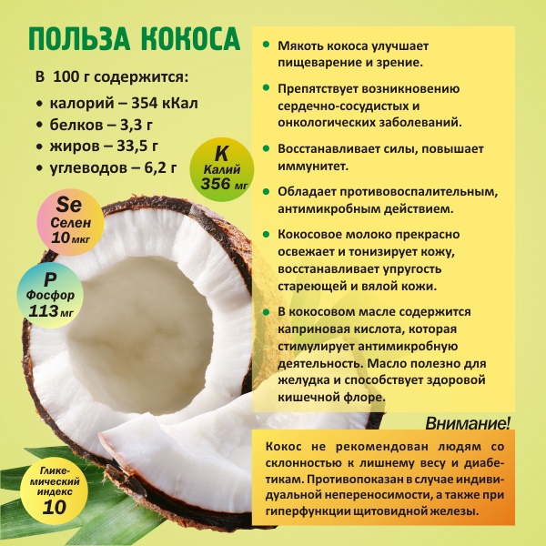 Польза и вред кокоса для организма человека, калорийность мякоти