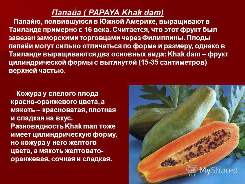 Фрукт папайя: фото, полезные свойства, вред, как его едят