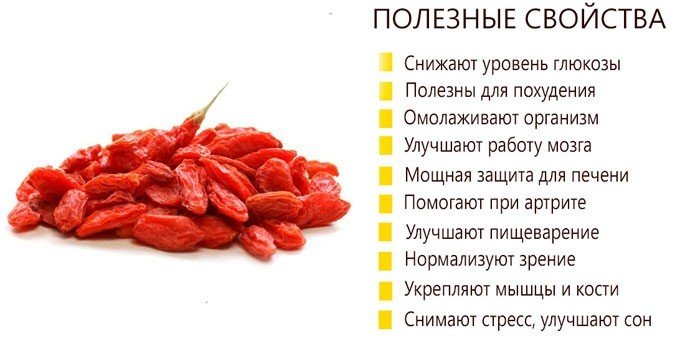 8 полезных свойств ягод годжи и противопоказания, а также способы применения