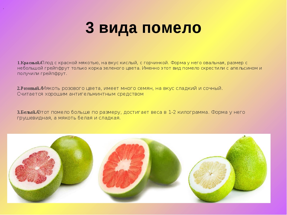 Грейпфрут: химический состав и пищевая ценность, калорийность на 100 грамм