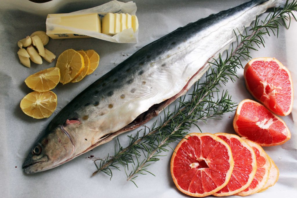 Скумбрия: польза и вред рыбы для организма