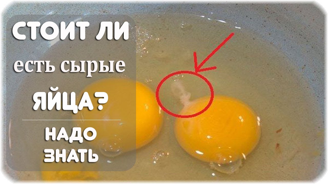 Польза и вред сырых куриных яиц