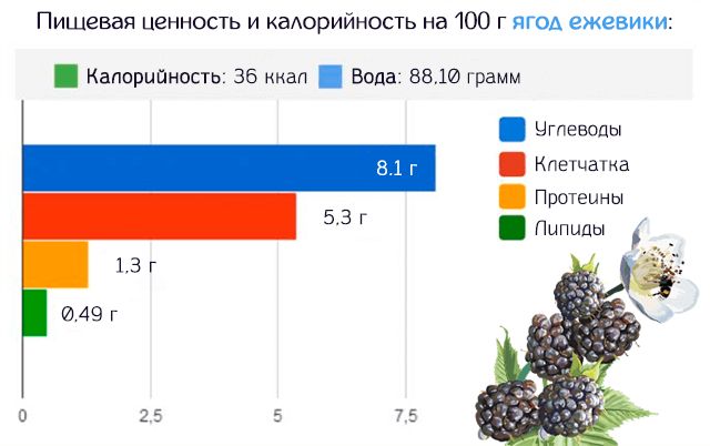 Гликемический индекс и калорийность продуктов питания + таблица