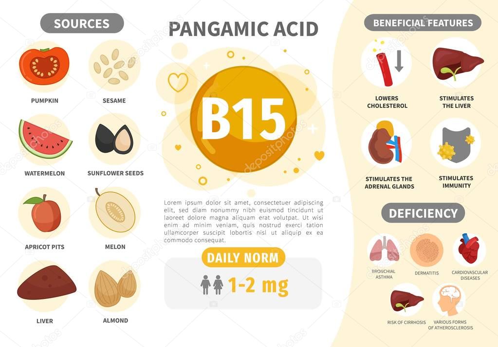 Витамин b15 (пангамовая кислота): свойства, источники, норма