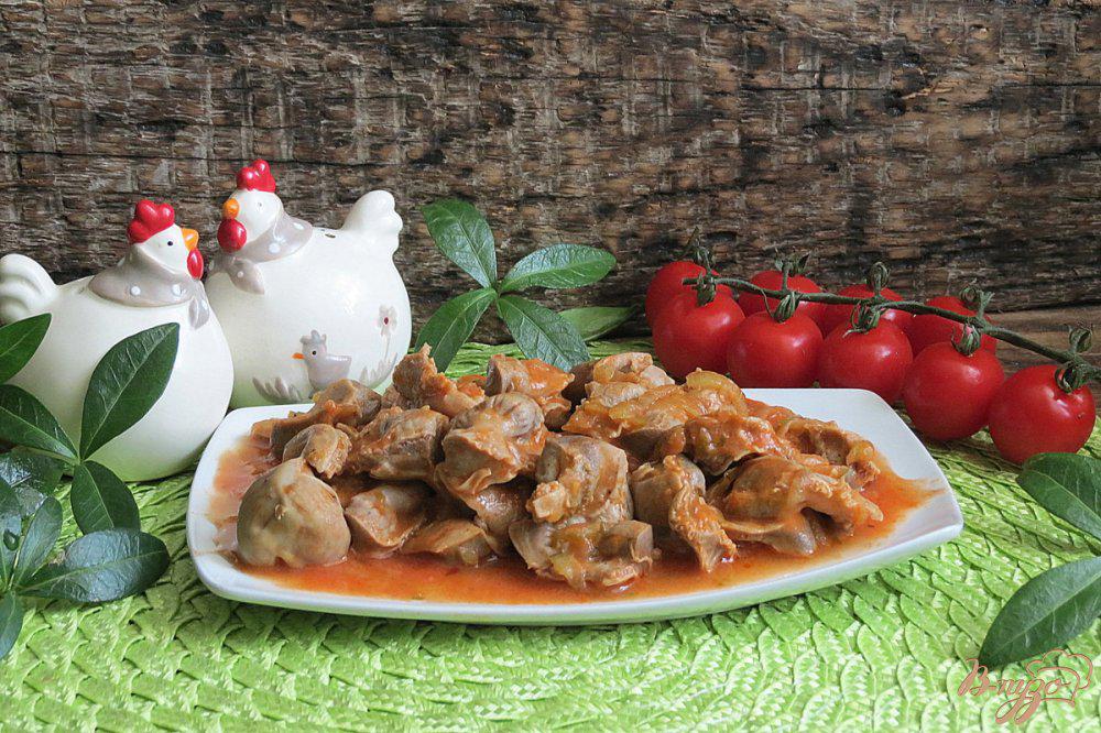 Куриные желудки - 10 рецептов приготовления с пошаговыми фото