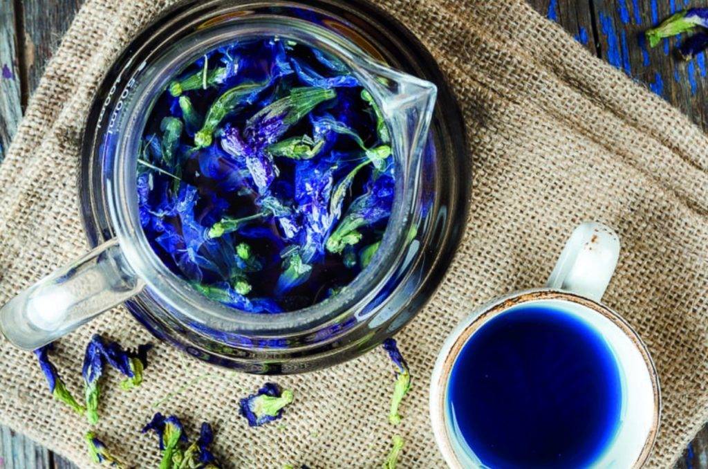 Тайский синий чай: полезные свойства и состав, как правильно заваривать и пить. польза и вред напитка из тайланда