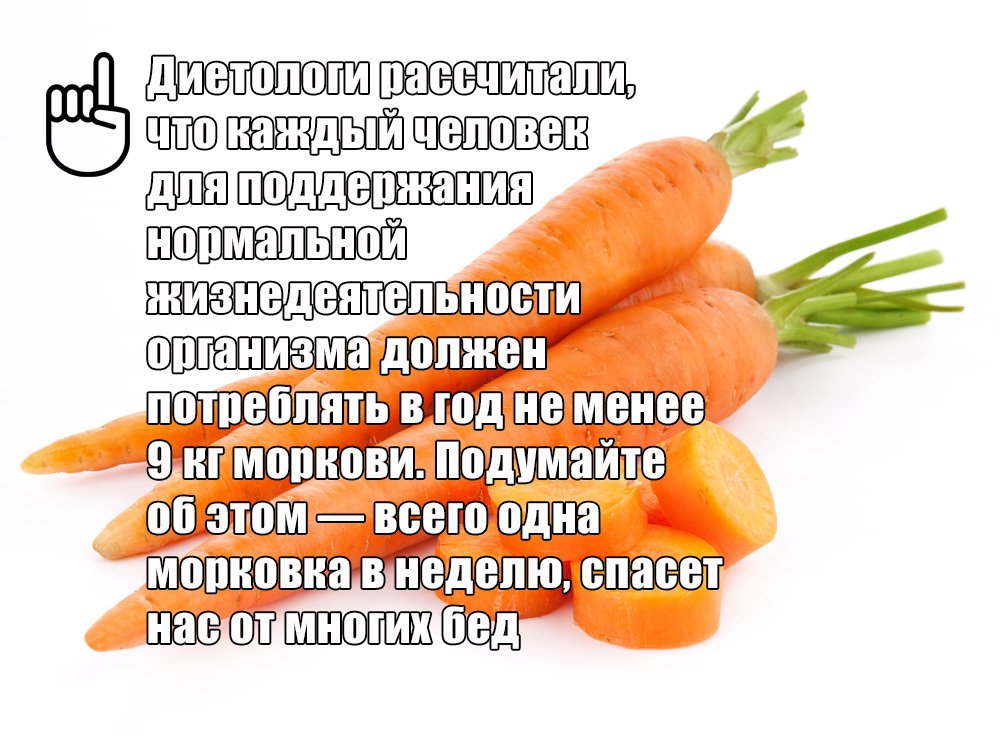 Морковная ботва: лечебные свойства и противопоказания, польза и вред для здоровья человека, как принимать для лечения организма, состав и применение