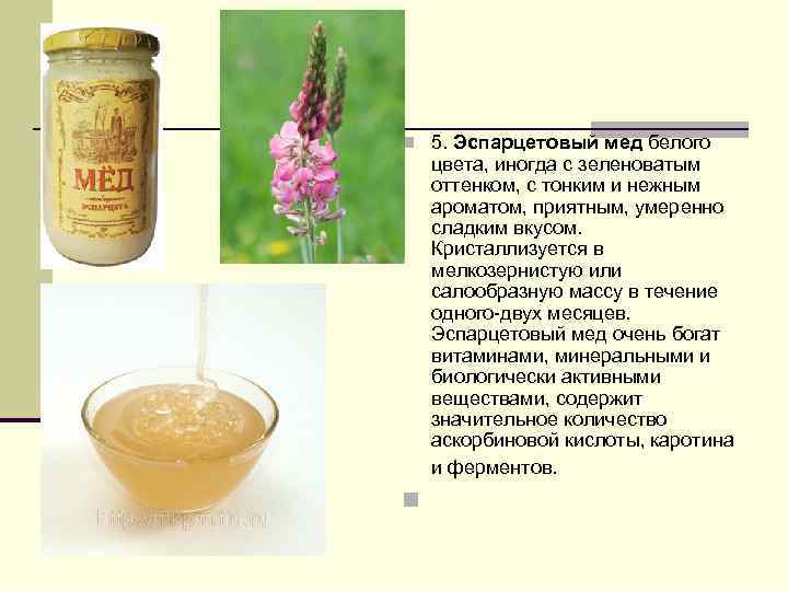 Эспарцетовый мед: полезные свойства и противопоказания, из чего делают, применение