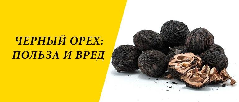 Черный орех: полезные свойства, противопоказания, отзывы