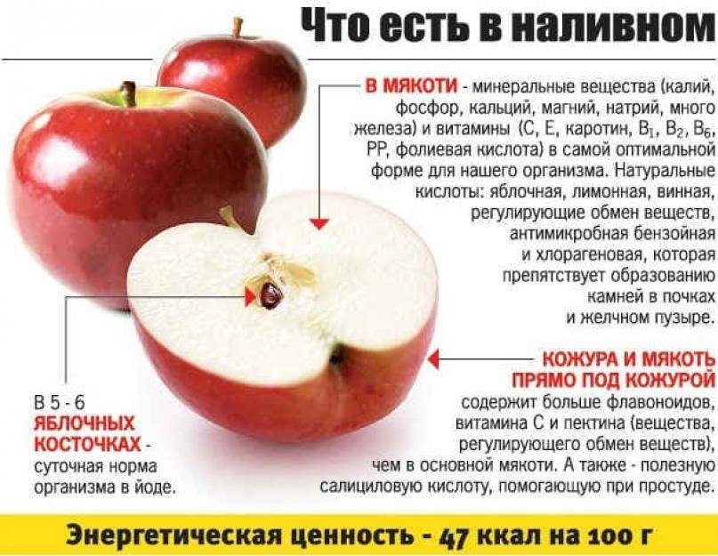 Косточки яблока польза и вред, можно ли употреблять в пищу