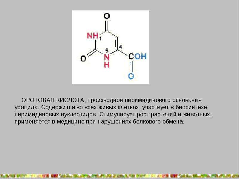 Витамин в5 (пантотеновая кислота)