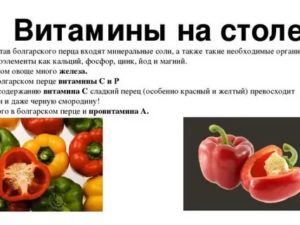 Калорийность болгарского перца для похудения