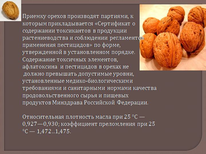 Орехи – таблица калорийности на 100 г (грецкий, кедровый, кешью)