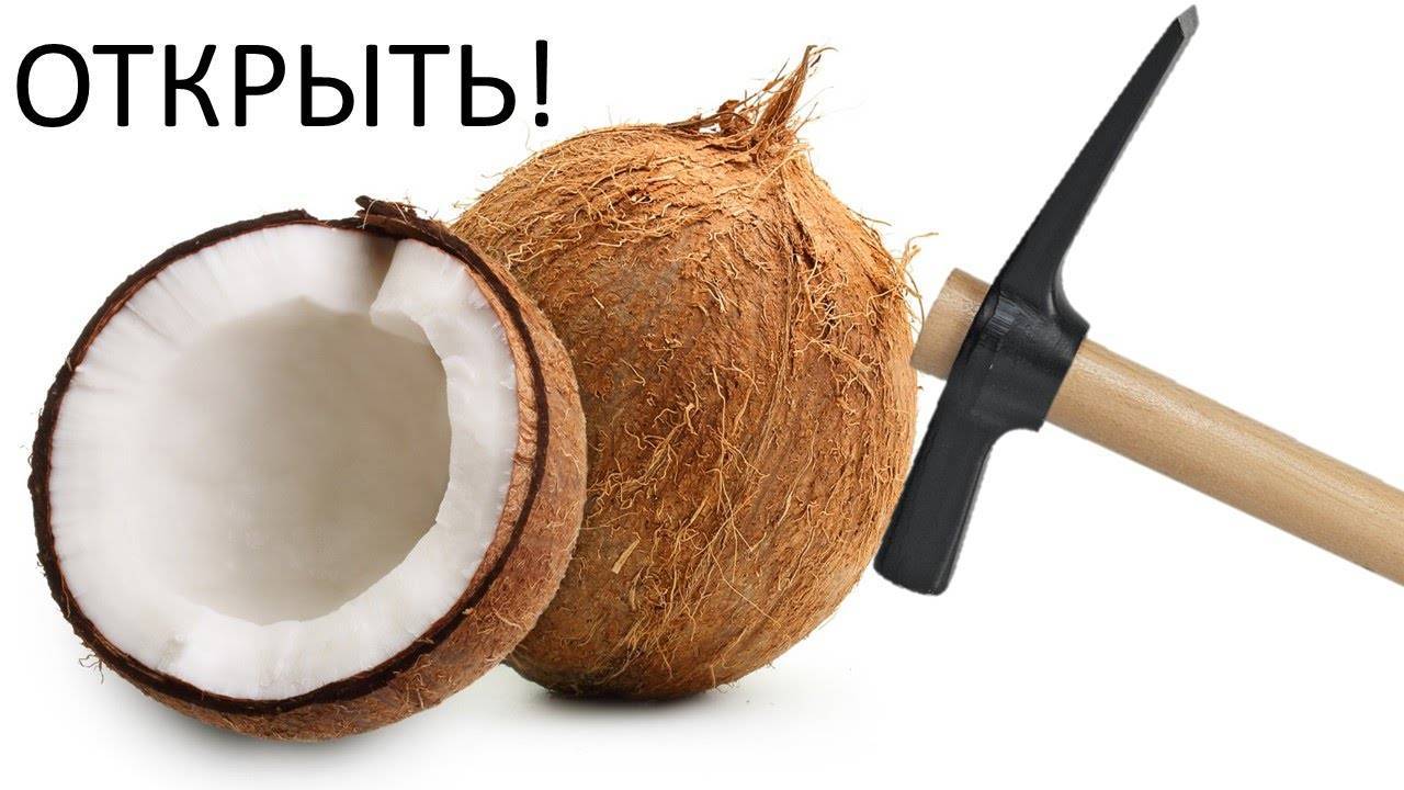 Как правильно есть и пить кокос в домашних условиях