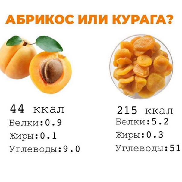 Абрикос: калорийность на 100 грамм, состав. абрикос: калорийность 1 шт