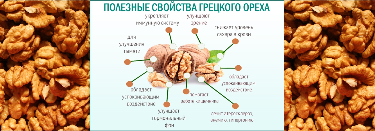 Грецкие орехи — польза и вред для организма, как выбирать и хранить