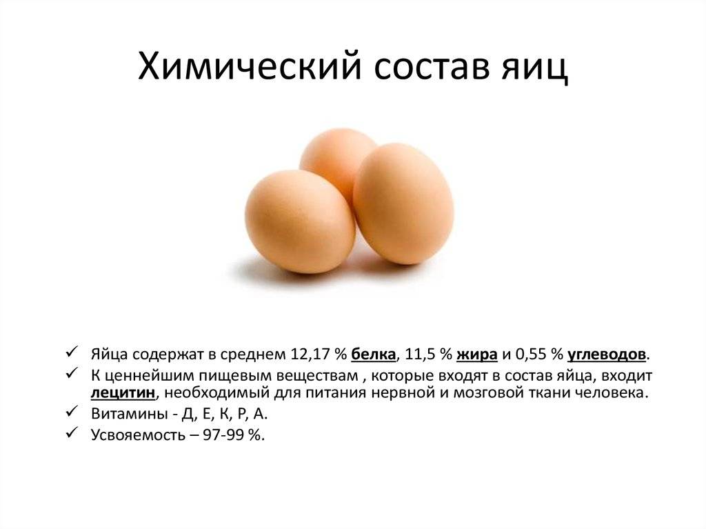 Что можно рассказать о пользе яиц цесарки. когда важно добавить их в меню и могут ли принести вред эти яйца?
