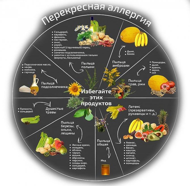 Сезонное питание или как пользоваться сайтом kitamed.ru | традиционная китайская медицина