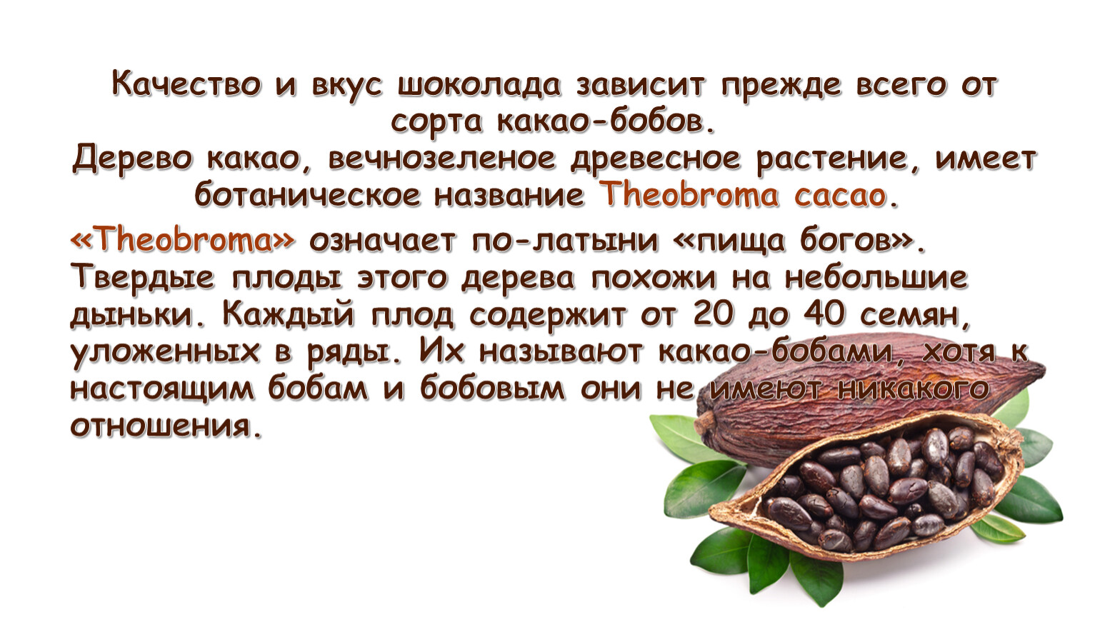 Какао - описание, состав, калорийность и пищевая ценность - patee. рецепты