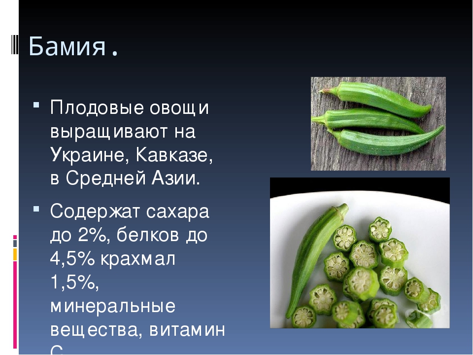Окра – что это за овощ, где его выращивают, как выглядит В чем заключается польза, как применяют бамию в кулинарии, косметологии и для лечения