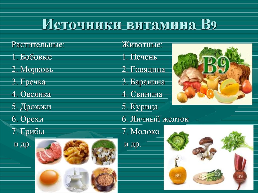 Витамин в9 в продуктах питания (таблица)