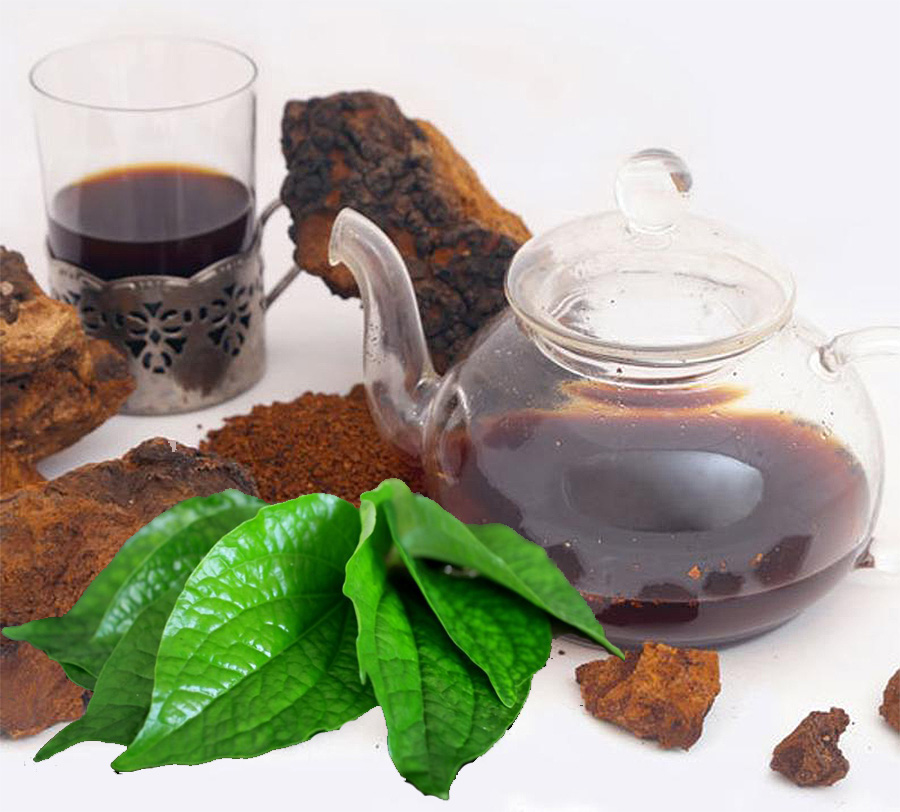 Чаговый чай, полезные свойства и приготовление
