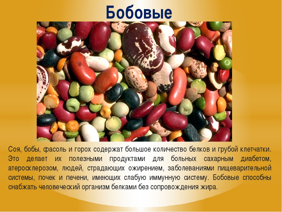 Бобовые продукты: польза и вред - медицинский портал eurolab