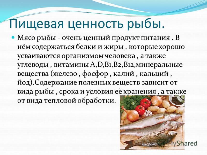 Черноморская барабулька (обыкновенная султанка): описание, фото, рыбалка